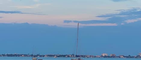 Boca Ciega bay. 2-3 minute walk from your front door.