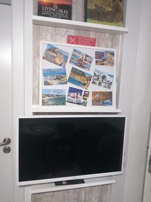 Television