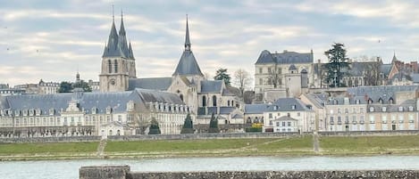 Vue sur la Loire et Blois