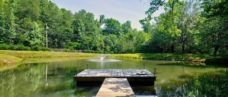 Dock on Pond to fish or land canoe
