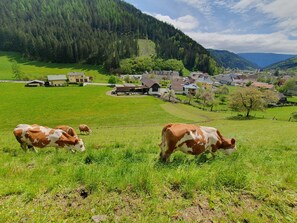 Unterkunftsgelände