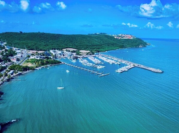 Marina
