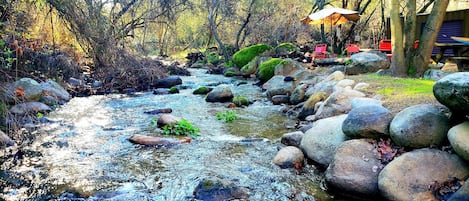 Relax along the River