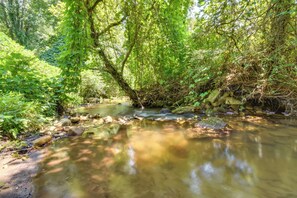 10-Acre  Property | Shared Outdoor Space