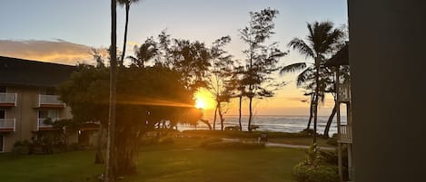 Wake up to a gorgeous Sunrise on Beautiful Waipouli Beach 