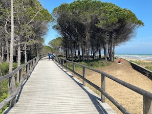 Strand
