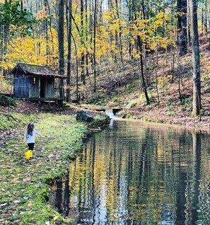 Cabin Fever
