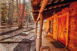 Cabin 5