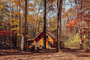 Cabin 5