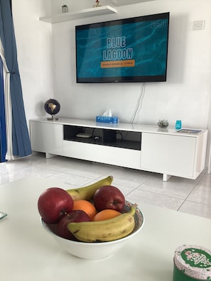 Plazma Full HD smart TV Netflix and Apple TV + Fibrewire Optic Highspeed WI-FI