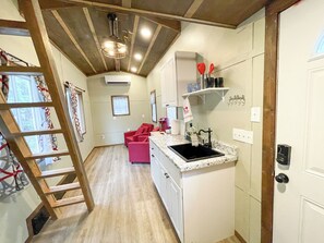 Kitchenette and Living Area