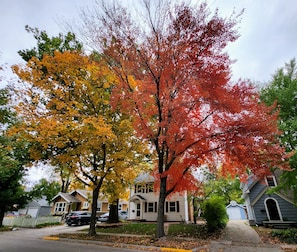 Fall colors