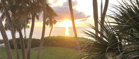 Relax on the hammock by the clubhouse