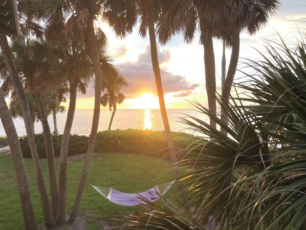 Relax on the hammock by the clubhouse