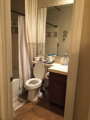 Spa bathroom includes shower and jet tub.