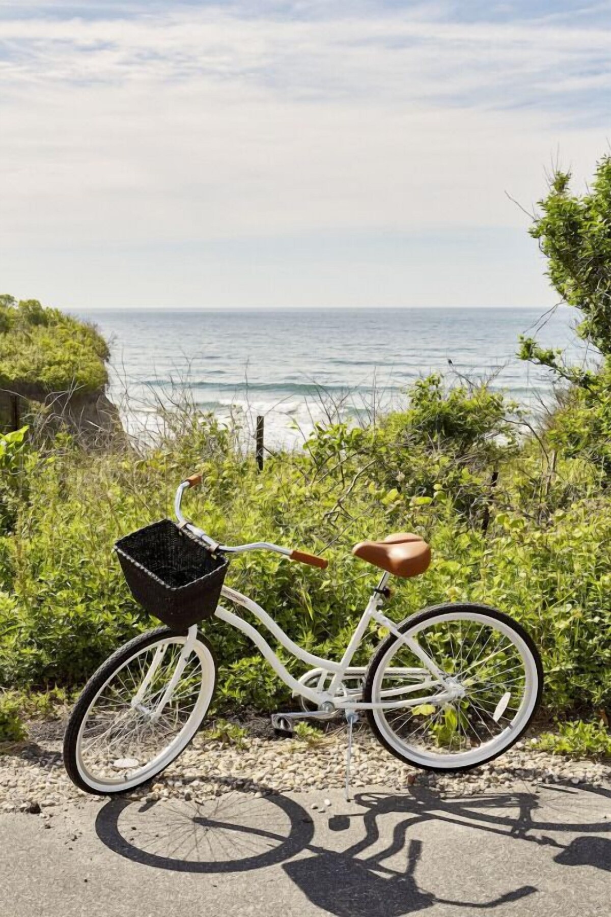 Soothing Seashore Terrain! Beachfront Hotel with Pool, Free Parking & Breakfast!