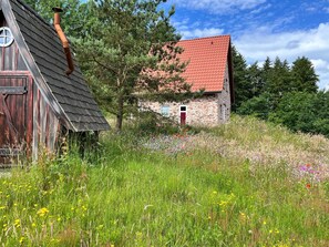 Hexenhäuschen Vergissmeinnicht mit Felsenbirne