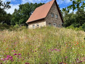 Eingangsseite der Felsenbirne