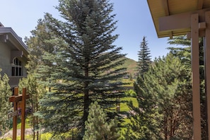 Mountain Views from your deck