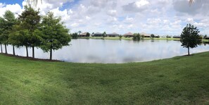Backyard Water View