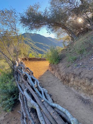 Terrain de l’hébergement 