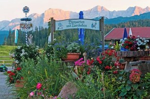 Winklmoos-Sonnen-Alm e.K. (DE Reit im Winkl) - Becker-Schönhuber Dagmar - 79720-auf der Terrasse