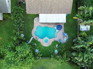 Aerial view of the backyard oasis and pool ensconced in tropical landscaping.