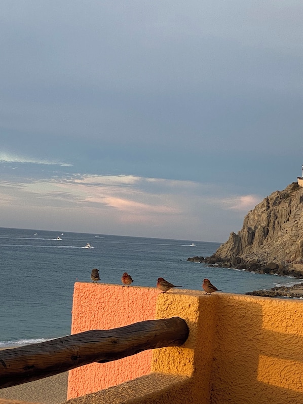 View from property