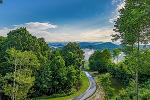 View from the back porch