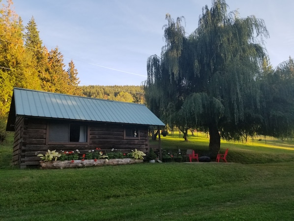 Log Cabin under the willow