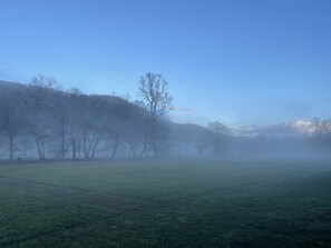 Overnatningsstedets område