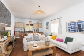 Open-plan living room with sofas, dining area, kitchen, ornamental fireplace, A/C, WiFi internet, and satellite TV