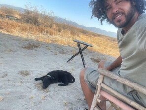 Animaux de compagnie acceptés