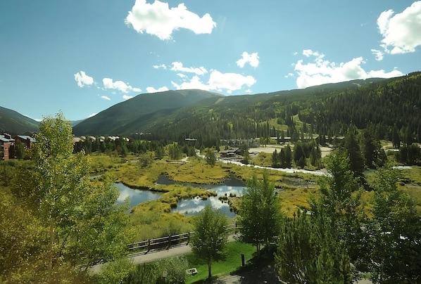 Mountain view