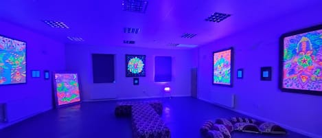 Large 8m x 8m gallery with 2 windows, or well lit including UV light