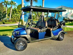 A NEW 6-Passenger Golf Cart is INCLUDED!