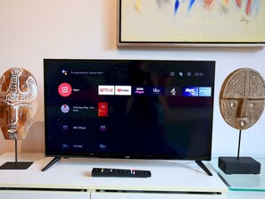 Television