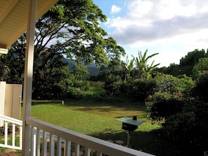 View from back lanai