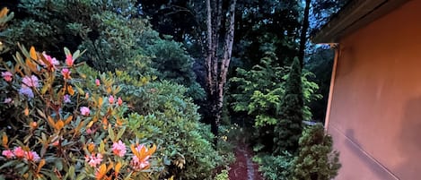 The fenced side garden off the front porch is beautiful and perfect for pets.