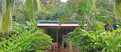 Watch the Macaws or monkeys as you relax on the deck.