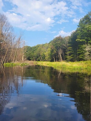 Completely private swimmable natural spring fed pond 