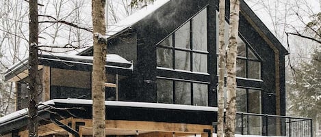 ArriĂšre en hiver