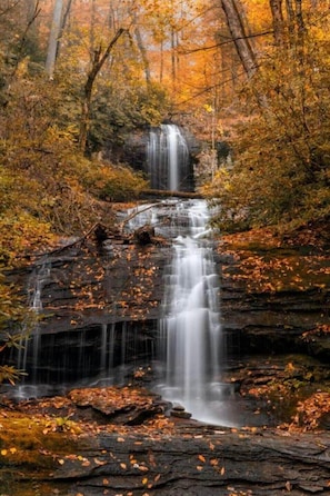 Amicalola Falls in beautiful in the fall!