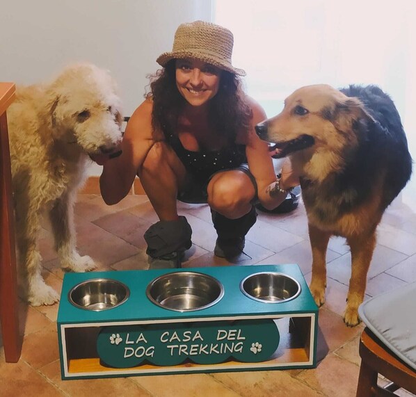 Pet-friendly