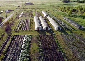 Bouldin Food Forest, the home of Persimmon Hill