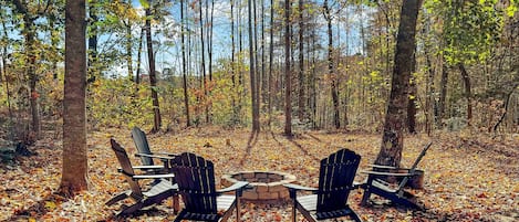 Autumn views from the fire pit
