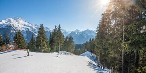 Wintersport/Ski
