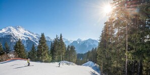 Skidåkning och snöaktiviteter