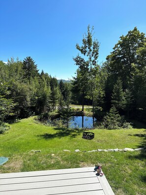 View from living room