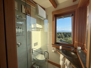 Efficient Euro-style master bath with a view!